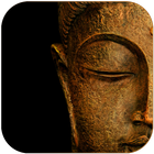 Buddha Wallpapers - Quotes Wallpapers 아이콘