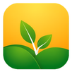 Wall Nature Paper APK