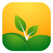 Wall Nature Paper icon