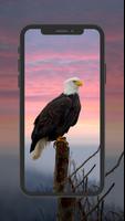 Eagle Wallpaper screenshot 1