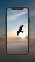 Eagle Wallpaper screenshot 2