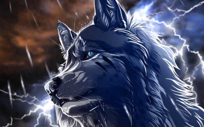 Kurt Duvar Kağıtları for Android APK Download