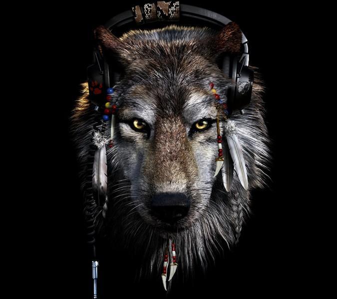 Kurt HD Duvar Kağıtları for Android APK Download