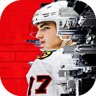 Hockey Wallpaper أيقونة