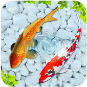 Fish 3D Live Wallpaper 2018  icon