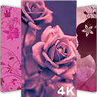 Rose Gold Wallpaper 4K 2019 icône