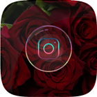 Roses Pictures | without Net icon