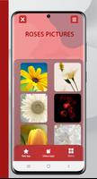 Roses Pictures | without Net screenshot 1