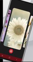 Roses Pictures | without Net screenshot 2