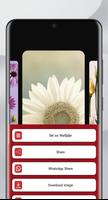 Roses Pictures | without Net screenshot 3