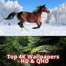 Top 4K Wallpapers - HD & QHD APK