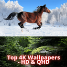 Top 4K Wallpapers - HD & QHD icon