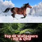 Top 4K Wallpapers - HD & QHD ikon