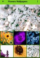 Top 4K Wallpapers - HD & QHD syot layar 2