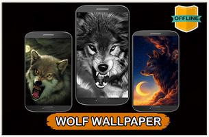 Wolf Wallpaper 4K Affiche