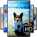 APK Animal Wallpaper Offline