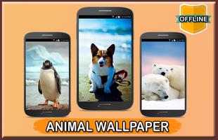 Animal Wallpaper Offline Cartaz