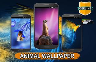 Animal Wallpaper Offline capture d'écran 1