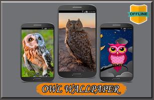 Owl Wallpaper 4K-poster