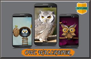 Owl Wallpaper 4K ภาพหน้าจอ 2