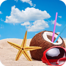 Starfish HD Wallpaper APK