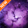 Purple Wallpapers