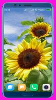 Sunflower HD Wallpaper capture d'écran 3