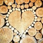 Wood Wallpapers HD أيقونة