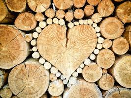 Wood Wallpapers HD स्क्रीनशॉट 1