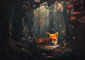 Fox Wallpapers HD Cartaz