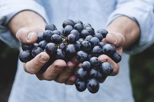 Grape Wallpapers HD 스크린샷 3