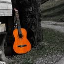 APK Guitar Wallpaper HD