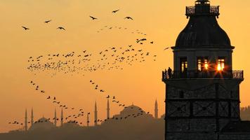 Istanbul Wallpapers HD 스크린샷 2