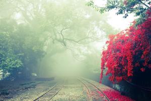 Mist Wallpapers HD โปสเตอร์