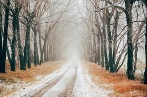 Mist Wallpapers HD syot layar 1