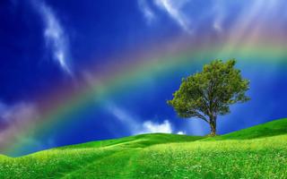 Rainbow Wallpapers HD screenshot 1