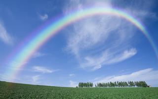 Rainbow Wallpapers HD screenshot 3