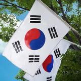 South Korea Wallpapers HD icône