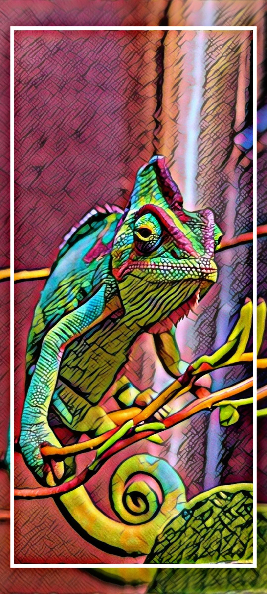 chameleon wallpaper app APK for Android Download