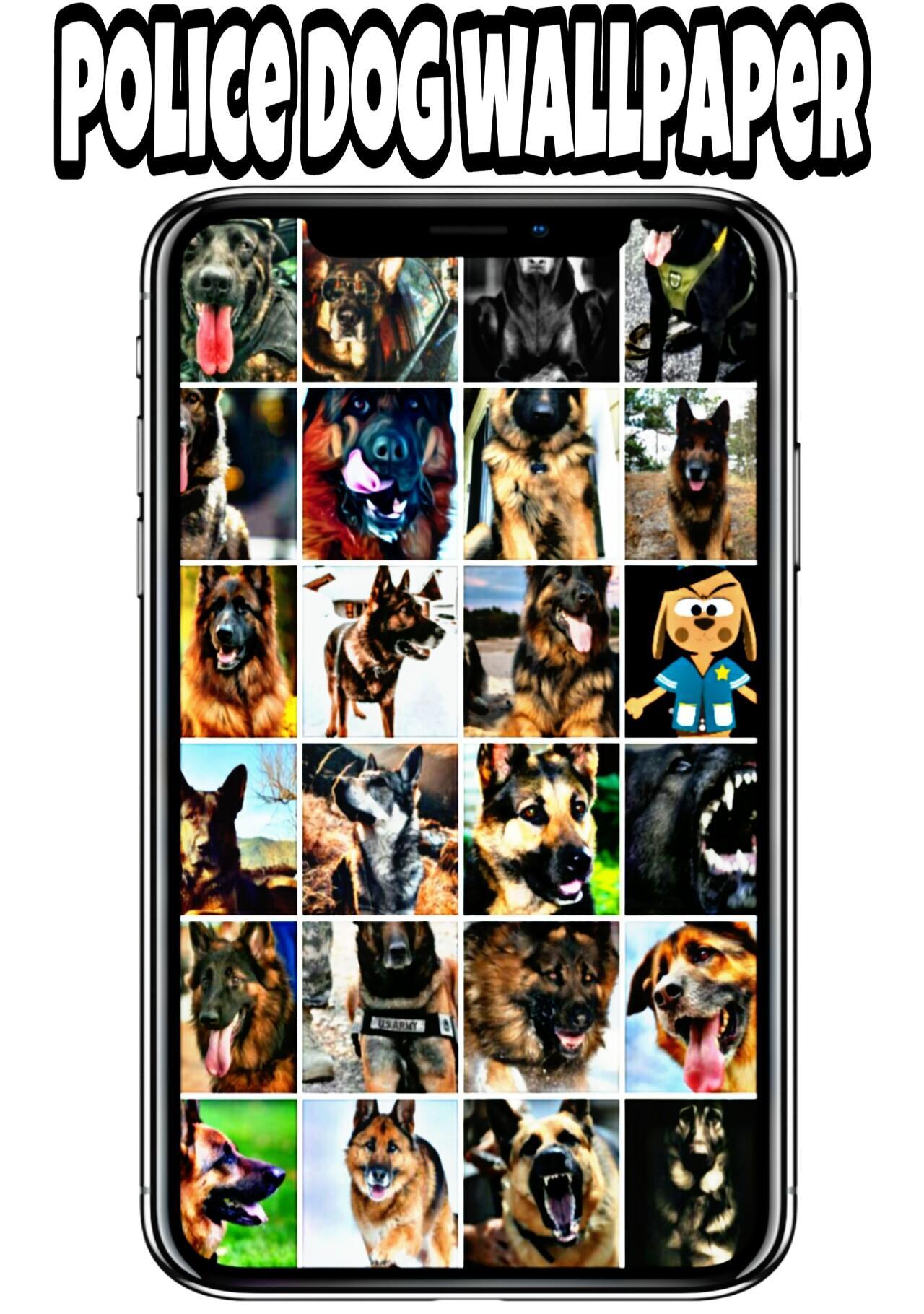 Android 用の 警察犬の壁紙 Apk をダウンロード Android 用の 警察犬の壁紙 Apk をダウンロード