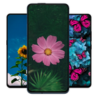 Rose pictures and wallpapers icon