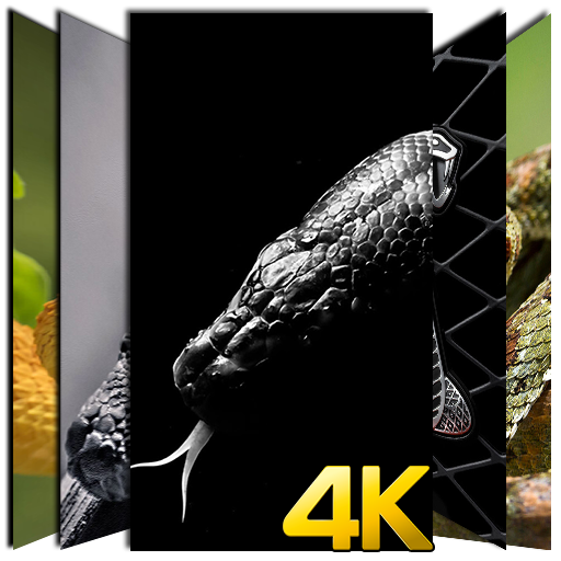 Snake Wallpaper HD 4K