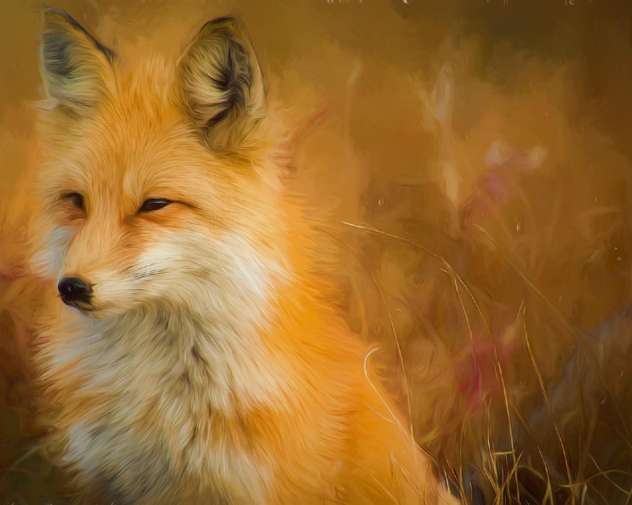 Fox Anime Wallpapers for Android - APK Download