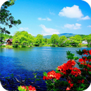 Scenery Wallpaper Best 4K APK