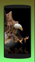 Fond d'écran Eagle HD 3D Affiche