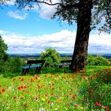 Nature Wallpaper HD icon