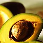 Avocado Wallpaper HD biểu tượng