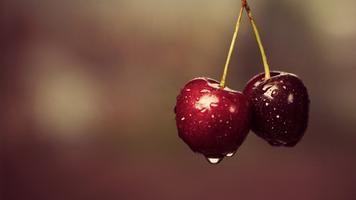 Cherry Wallpaper HD bài đăng