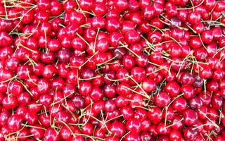 Cherry Wallpaper HD ảnh chụp màn hình 2