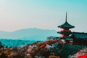 Kyoto City Wallpaper HD скриншот 1